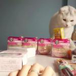 15天完美到手起航轉(zhuǎn)運(yùn)值得信賴