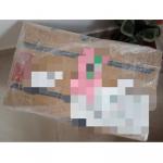 使用的第一個轉運 起航轉運